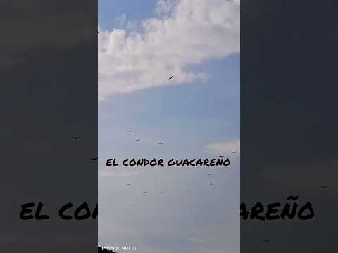 FILAS DEL TOCÓ GUACARA EDO CARABOBO OTRAS VISTAS