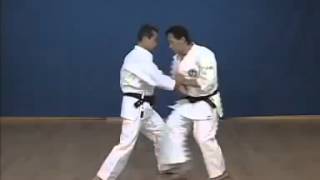 Kihon kumite n°5