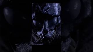 O que você faria se soubesse que só restam 28 dias …