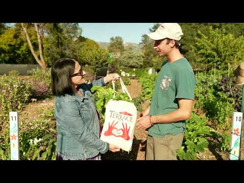 The Terrace Foundation Community Supported Agriculture