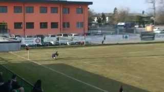 preview picture of video 'Serie A2 2012/13: Rugby Paese vs Amatori Badia HL'