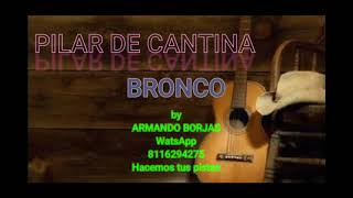 PILAR DE CANTINA KARAOKE BRONCO
