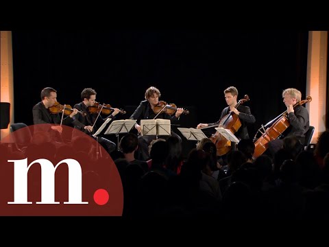 Quatuor Ébène with Frans Helmerson - Schubert: String Quintet in C major (EXTENDED VIDEO)