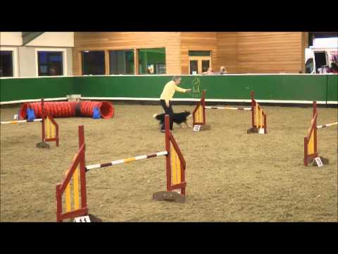 Rannoch Jumping in Maureen's Ring.wmv