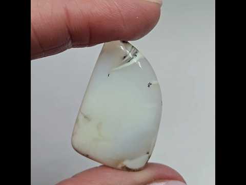 Дендроопал - кабошон 32,5 ct - фото 1 - id-p2133185385