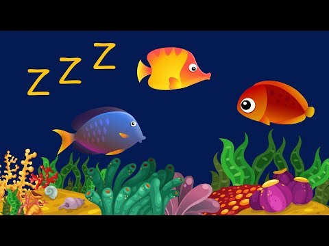 Música Para Bebê Dormir com Relaxante Som de Água ♫ ❤ Animação com Peixes