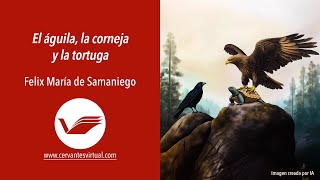 Video Youtube
