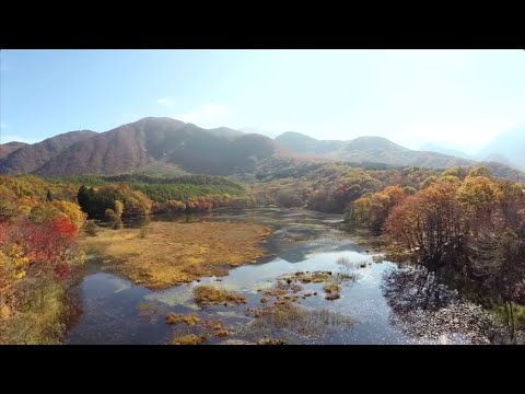 Shimogo-town Promotion Video (English subtitles)