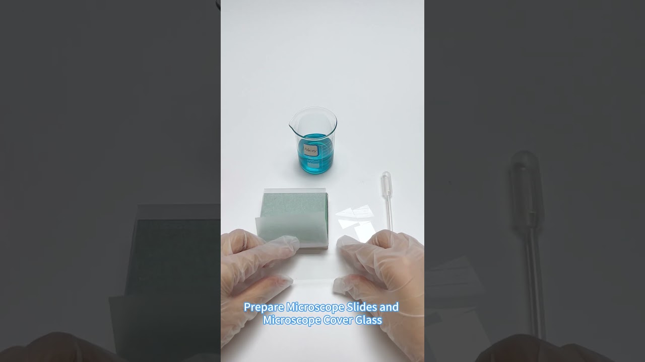 How to use Microscope Slides and Microscope Cover Glass?