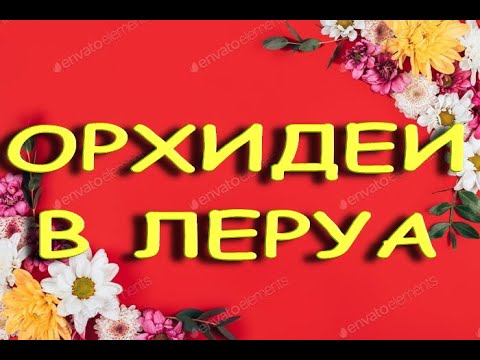 Леруа:НЕОЖИДАННЫЙ завоз ОРХИДЕЙ,скидка на "ФАНТОМЫ",18.03.22.ТЦ "Космопорт",Самара,ул.Дыбенко,30.