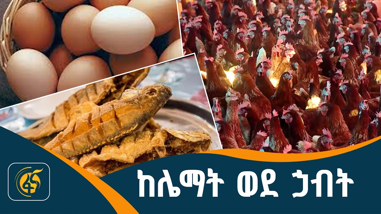 የለውጥ አቅም