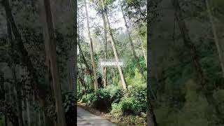 Download lagu Mungkin #tere #lagu #shorts #liriklagu #short mp3