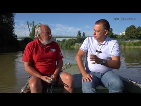 Muresul - Artera care da viata Aradului