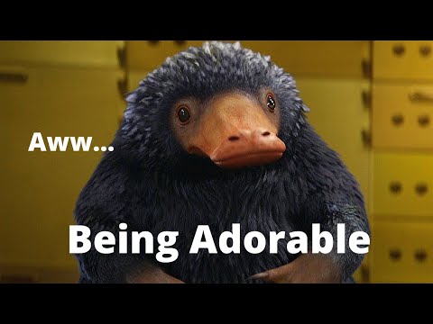 Nifflers Being Adorable For 3 Minutes (Fantastic Beasts)