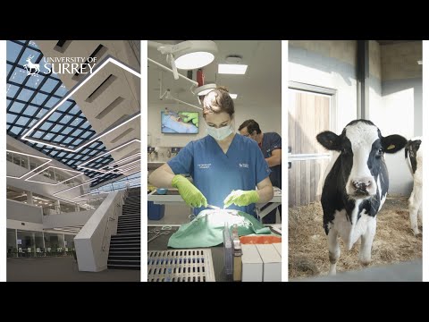 School of Veterinary Medicine facilities | University of Surrey
