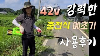 42v 강력한 파워 충전식 예초기 사용후기 대~박