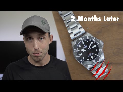 2 Months Later: Tudor Pelagos 39 - Scratches?