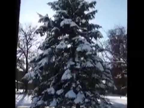 Enrique-Winter is Here