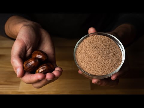 How to make FLOUR from ACORNS