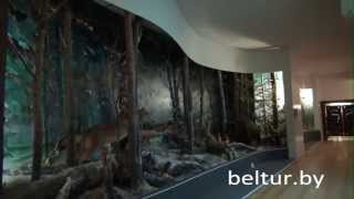 preview picture of video 'Гостиничный комплекс Сергуч - музей природы, Отдых в Беларуси'