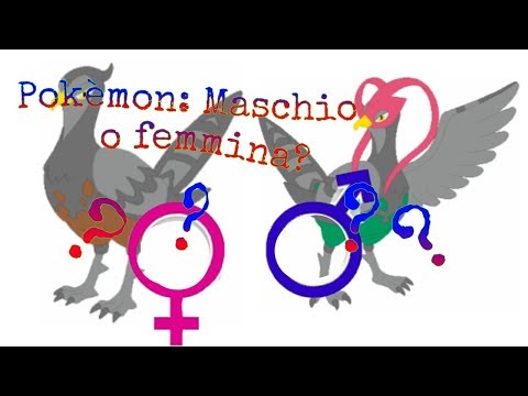 Pokèmon: Maschio o Femmina???