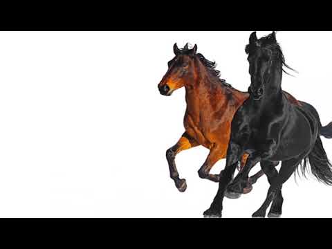 Lil Nas X (Ft. Billy Ray Cyrus) - Old Town Road - Official Instrumental BEAT REMAKE