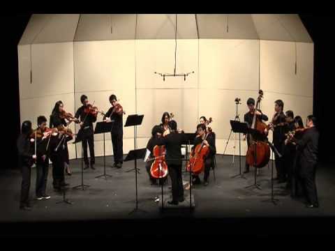 McMozart's Eine Kleine Bricht Moonlicht Nicht Musik - Teddy Bor