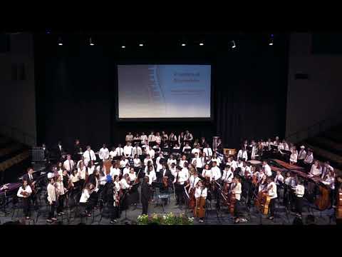 UDHS 2018 Instrumental Spring Concert - Combined Ensembles - Finale from Swan Lake