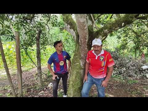 Entrevista - cultivo de Frijol Bola Roja 