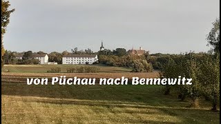 von Püchau nach Bennewitz