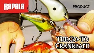 Rapala DT Metal 20 FT