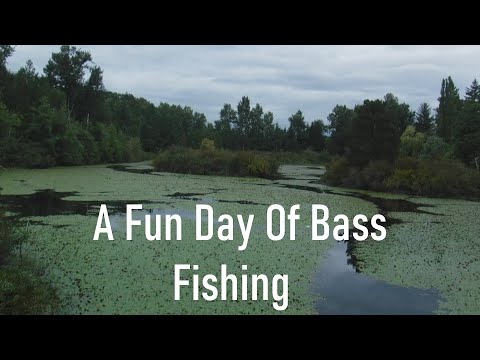 A Fun Day Of Bass Fishing
