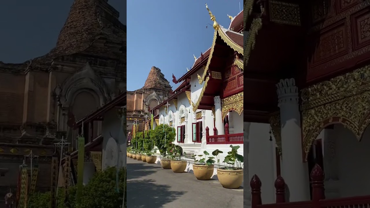 YouTube Short thumbnail