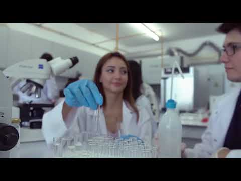 Girne American University