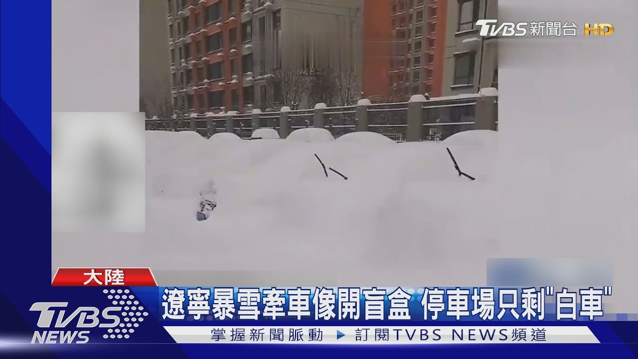 遼寧暴雪牽車像開盲盒 停車場只剩「白車」