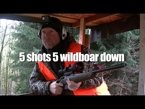Epic shooting! 5 shots 5 wild boars down in a few seconds.