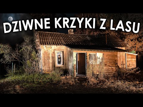 WRZESZCZĄCY DOM W LESIE 🎃 Halloween 🎃