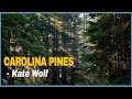 Kate Wolf - Carolina Pines (1985)