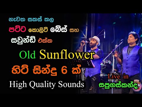 Sunflower 6 Hit Songs | Live in Sapugaskanda | Re Created Quality Sounds