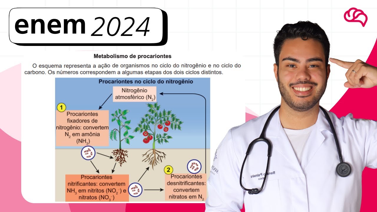 Resolução em Vídeo — Questão 113 ENEM 2024