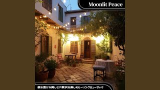 The Stars Won&#39;t Sleep Tonight