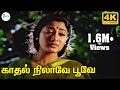 Kathal Nilavey Poove காதல் நிலாவே பூவே Arunmozhi Uma Ramanan Love Sad 