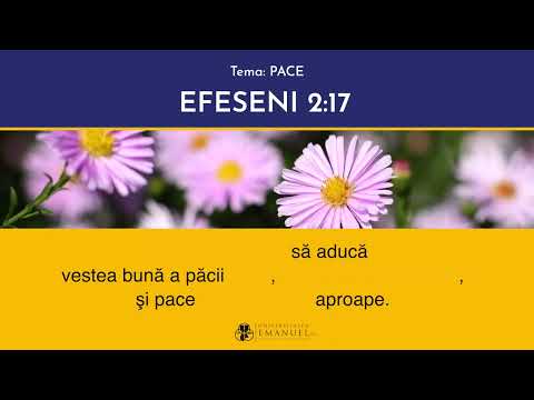 #120 Memorează Scriptura - Efeseni 2:17