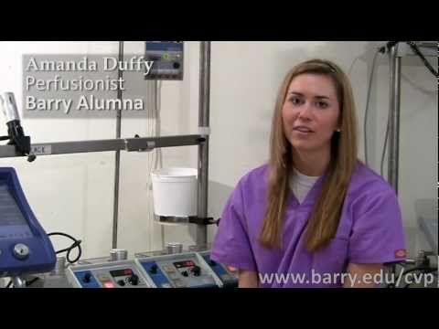 Cardiovascular Perfusion (CVP) Program Overview