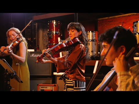 "Christmas Star" - VSQ performs John Williams / Home Alone 2 (Live Performance)