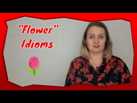 English Idioms | “Flower” Idioms