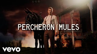 Kadr z teledysku Percheron Mules tekst piosenki Tyler Childers