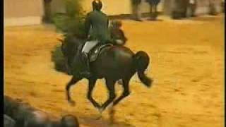 Video av Contendro I