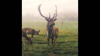 Madredeus "O Paraiso"