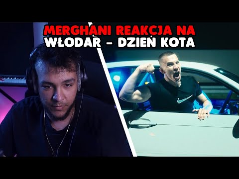 Merghani reakcja na WŁODAR - DZIEŃ KOTA (prod. PEDRO)